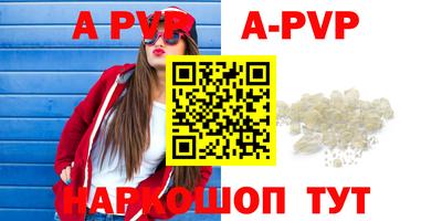 таблы Новозыбков