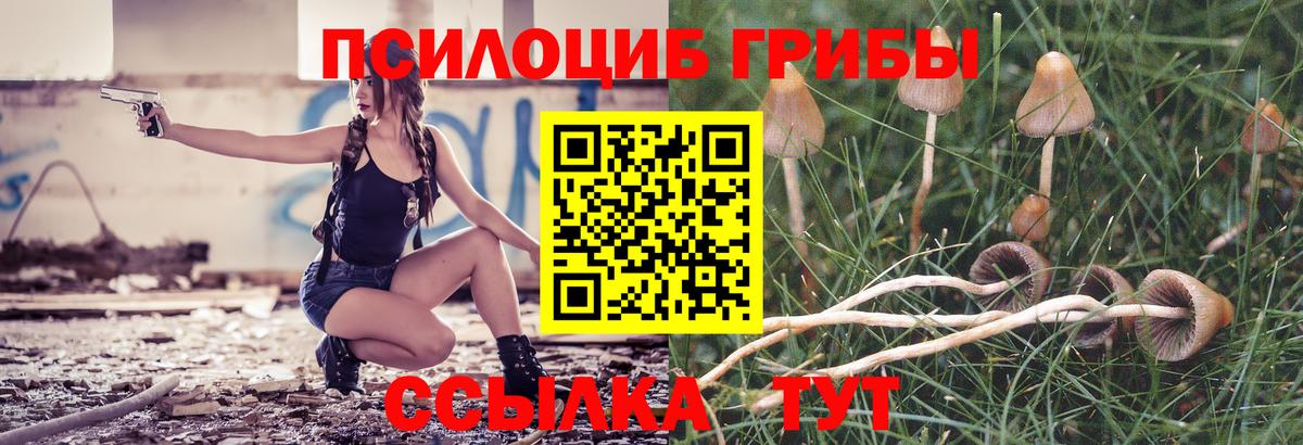 Южно-Сахалинск  Галлюциногенные грибы Cubensis  Вход с VPN 